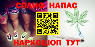 индика Будённовск