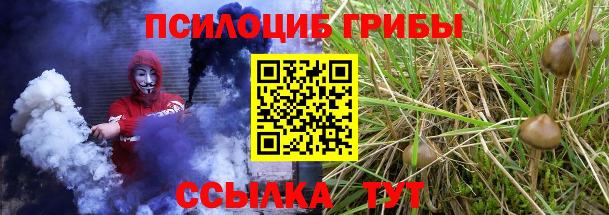 Псилоцибиновые грибы прущие грибы Электросталь