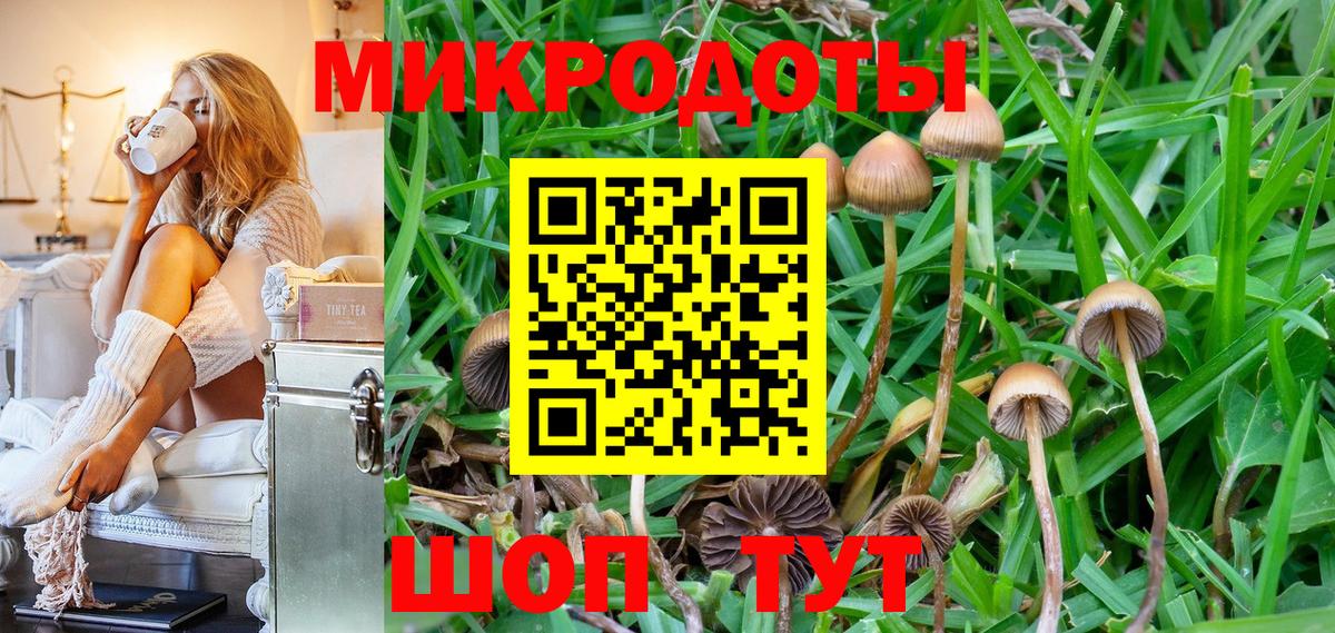 Галлюциногенные грибы Psilocybine cubensis  Вход с VPN  Электросталь 